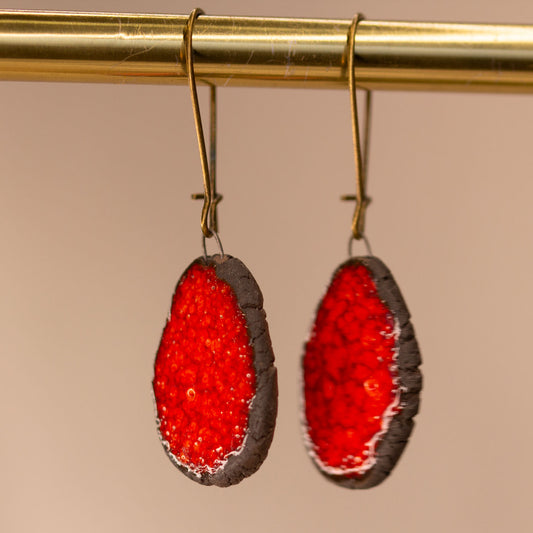 Ceramic earrings