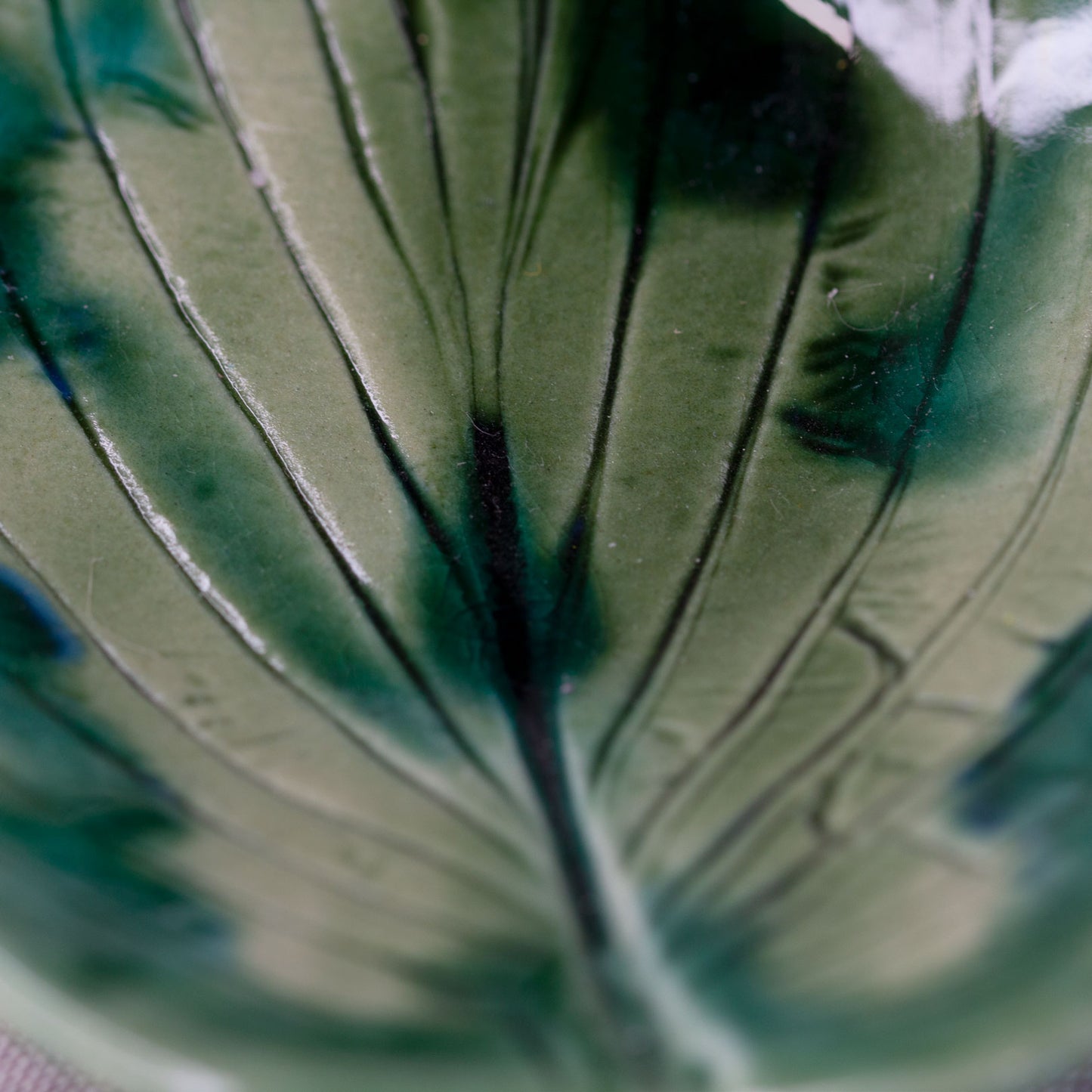 Ceramic plate Leaf