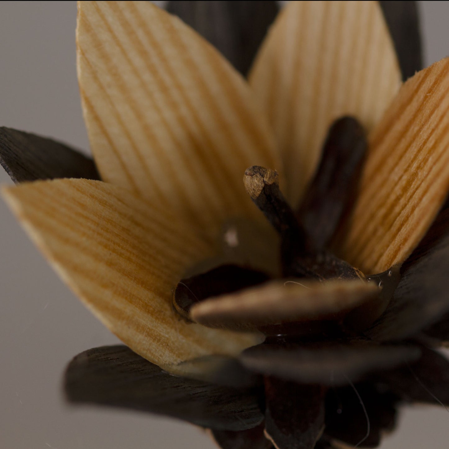 Wooden flowers